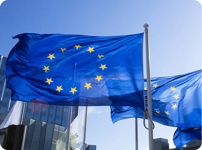 Europe Admission Process 2